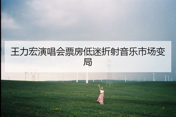 王力宏演唱会票房低迷折射音乐市场变局